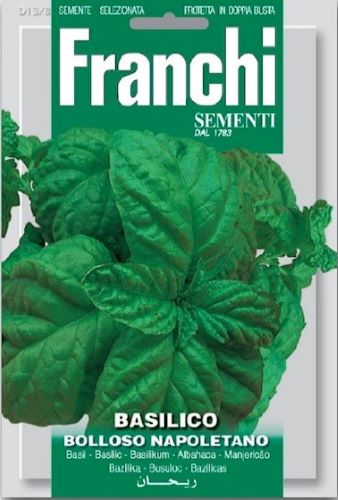Basil Basilico Bolloso Napoletano Herb Seeds